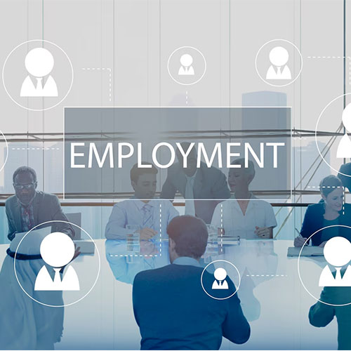 employment